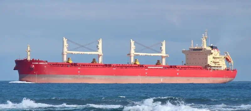 BEAUTY LILY Bulk Carrier IMO 9721308 photo 5