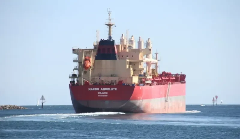 BEAUTY LILY Bulk Carrier IMO 9721308 photo 6
