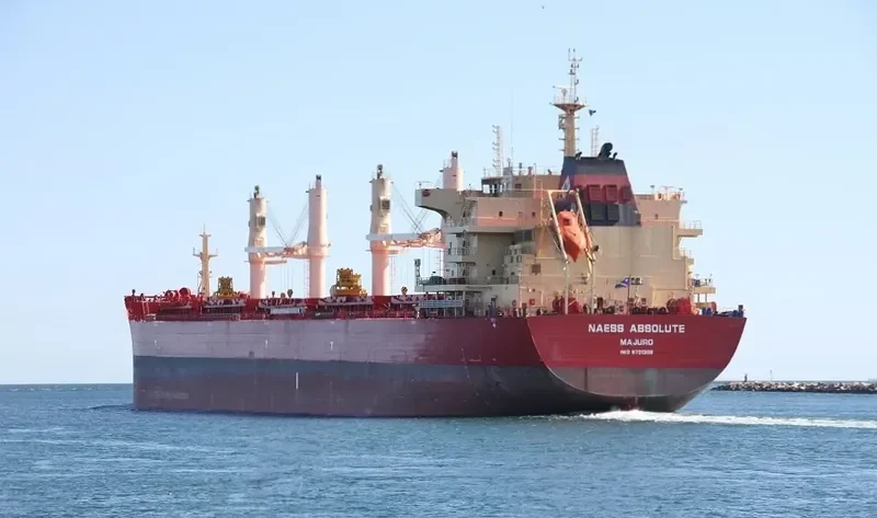 BEAUTY LILY Bulk Carrier IMO 9721308 photo 7