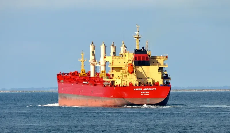 BEAUTY LILY Bulk Carrier IMO 9721308 photo 8