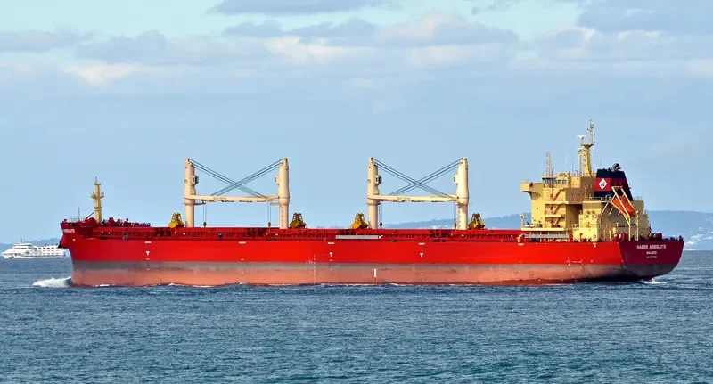 BEAUTY LILY Bulk Carrier IMO 9721308 photo 9