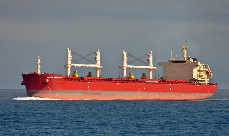 BEAUTY LILY Bulk Carrier IMO 9721308 photo 10
