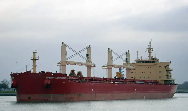 BEAUTY PEONY Bulk Carrier IMO 9721310