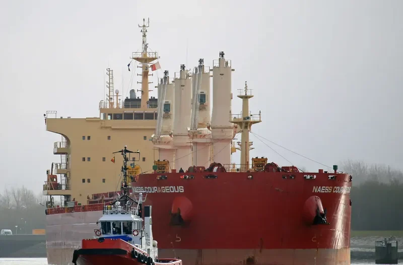 BEAUTY PEONY Bulk Carrier IMO 9721310 photo 2