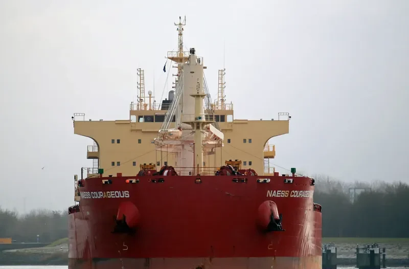 BEAUTY PEONY Bulk Carrier IMO 9721310 photo 3