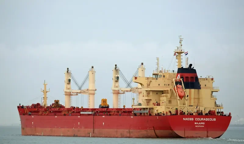BEAUTY PEONY Bulk Carrier IMO 9721310 photo 4