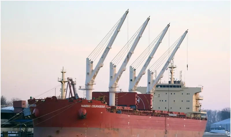 BEAUTY PEONY Bulk Carrier IMO 9721310 photo 5