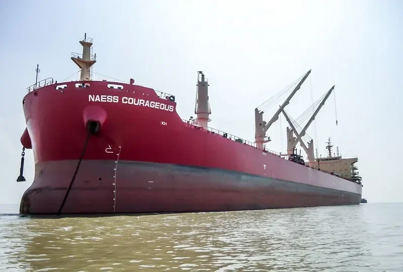BEAUTY PEONY Bulk Carrier IMO 9721310 photo 6