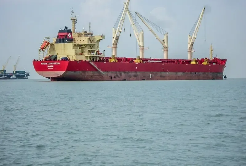 BEAUTY PEONY Bulk Carrier IMO 9721310 photo 8