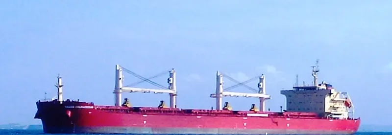 BEAUTY PEONY Bulk Carrier IMO 9721310 photo 9