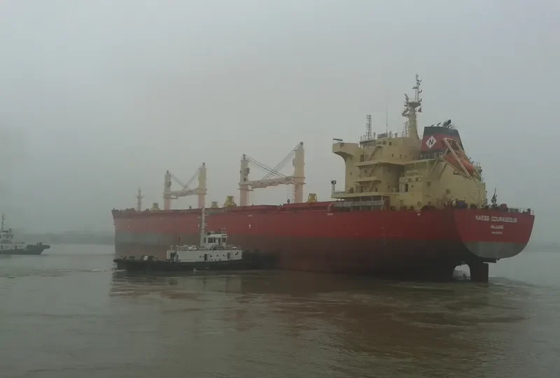 BEAUTY PEONY Bulk Carrier IMO 9721310 photo 10