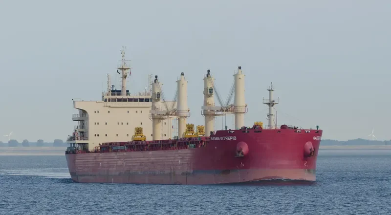 BEAUTY LOTUS Bulk Carrier IMO 9721322