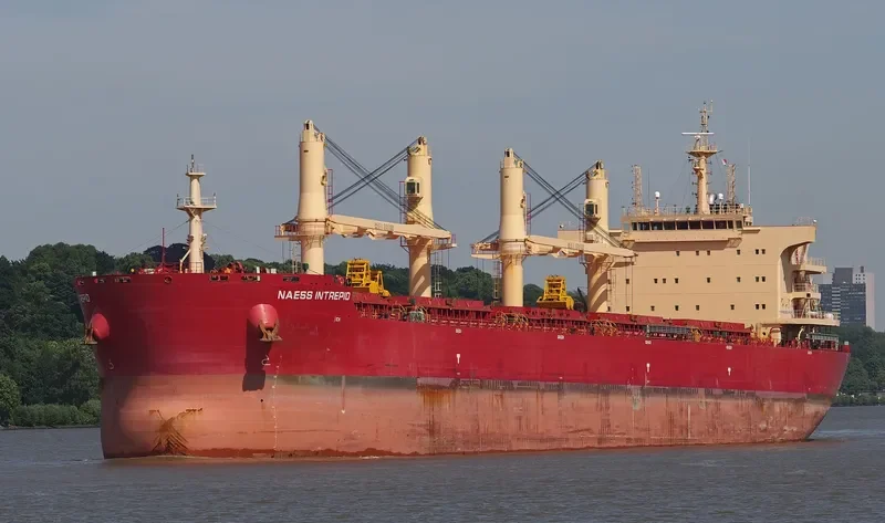 BEAUTY LOTUS Bulk Carrier IMO 9721322 photo 2