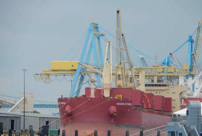 BEAUTY LOTUS Bulk Carrier IMO 9721322 photo 3