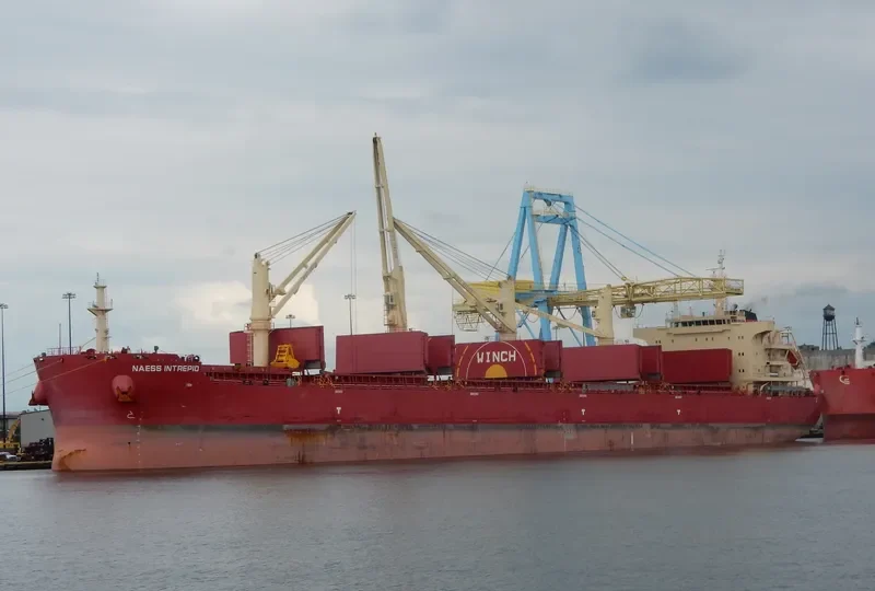 BEAUTY LOTUS Bulk Carrier IMO 9721322 photo 4