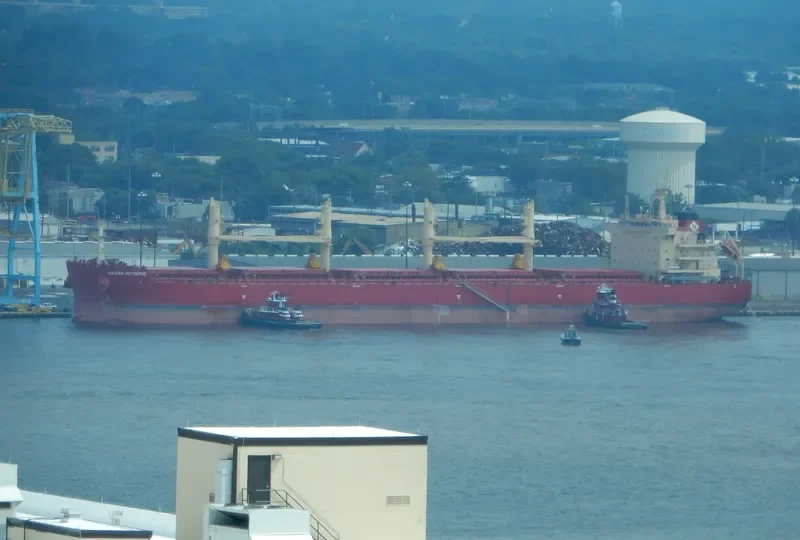 BEAUTY LOTUS Bulk Carrier IMO 9721322 photo 5