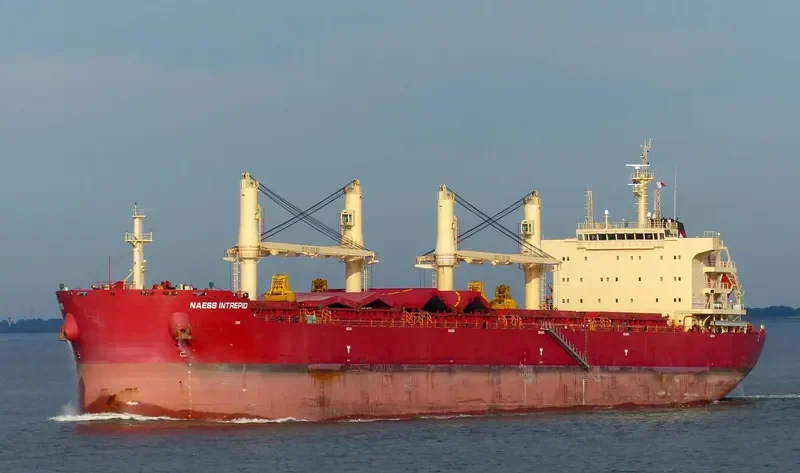 BEAUTY LOTUS Bulk Carrier IMO 9721322 photo 6