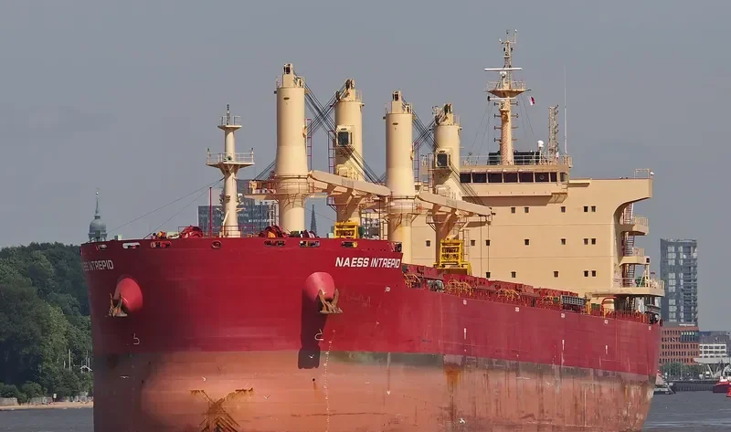 BEAUTY LOTUS Bulk Carrier IMO 9721322 photo 7