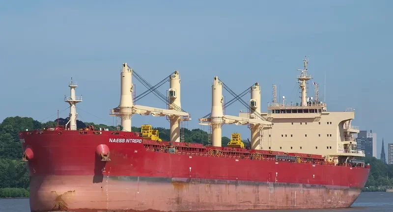 BEAUTY LOTUS Bulk Carrier IMO 9721322 photo 8