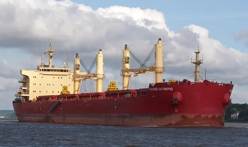 BEAUTY LOTUS Bulk Carrier IMO 9721322 photo 9