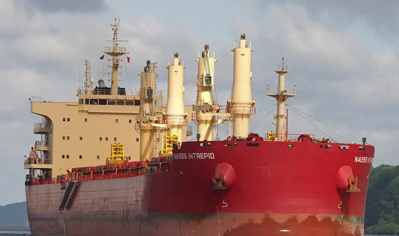 BEAUTY LOTUS Bulk Carrier IMO 9721322 photo 10