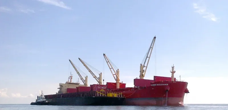 BEAUTY JASMINE Bulk Carrier IMO 9721334