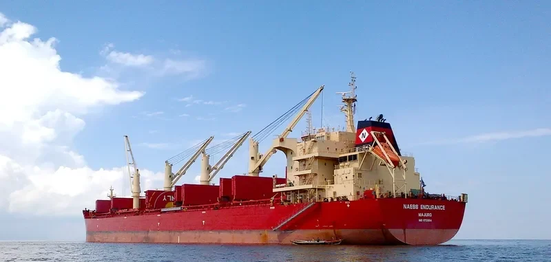 BEAUTY JASMINE Bulk Carrier IMO 9721334 photo 2