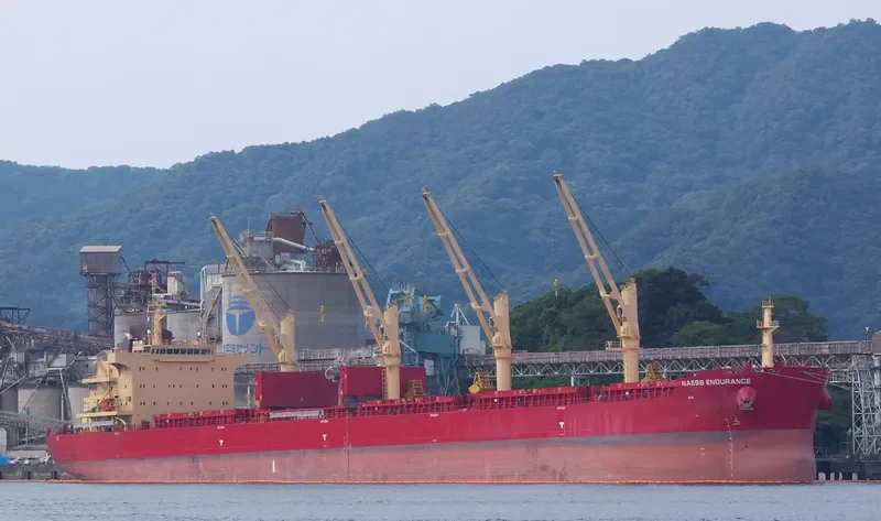 BEAUTY JASMINE Bulk Carrier IMO 9721334 photo 4