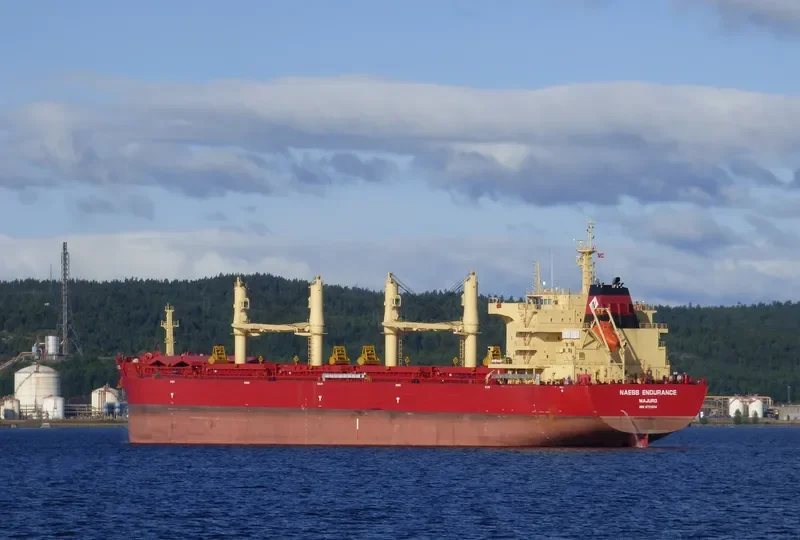 BEAUTY JASMINE Bulk Carrier IMO 9721334 photo 5