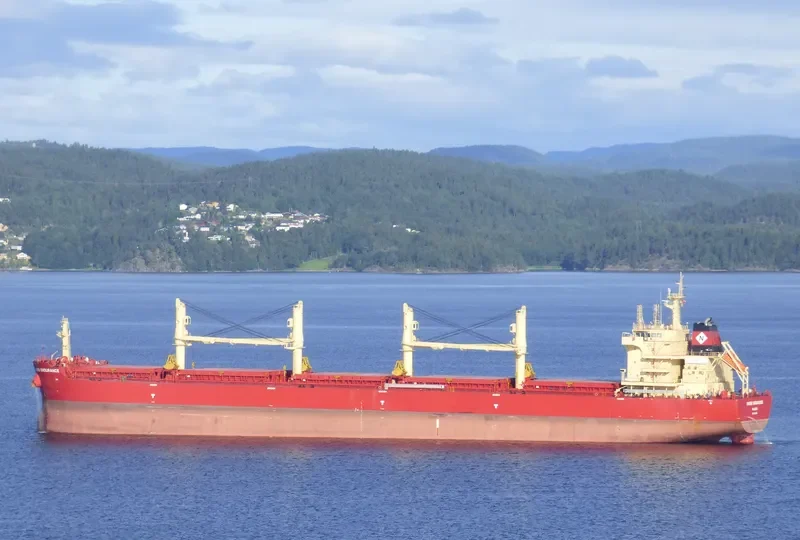 BEAUTY JASMINE Bulk Carrier IMO 9721334 photo 6