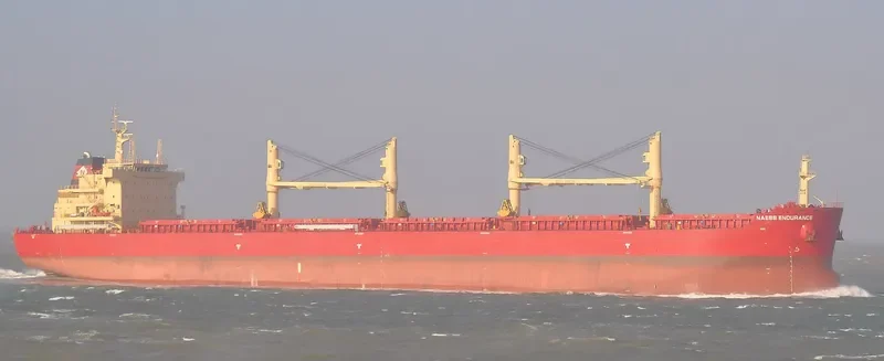 BEAUTY JASMINE Bulk Carrier IMO 9721334 photo 7