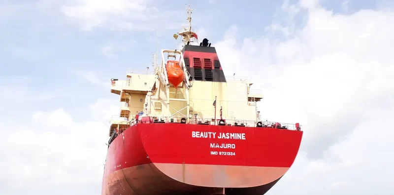 BEAUTY JASMINE Bulk Carrier IMO 9721334 photo 8