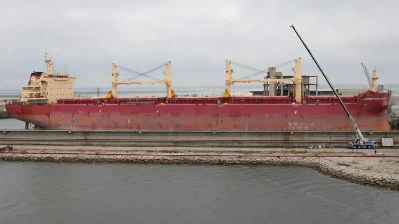 BEAUTY JASMINE Bulk Carrier IMO 9721334 photo 9