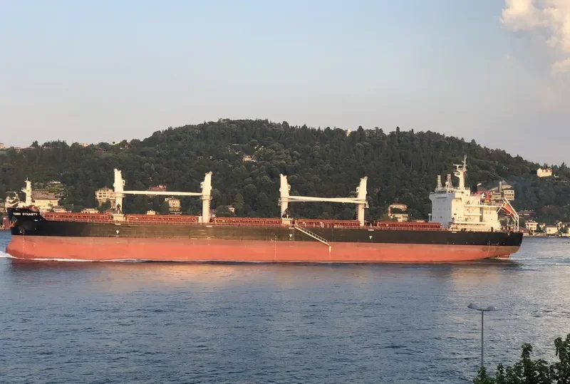 TOMINI DYNASTY Bulk Carrier IMO 9721360