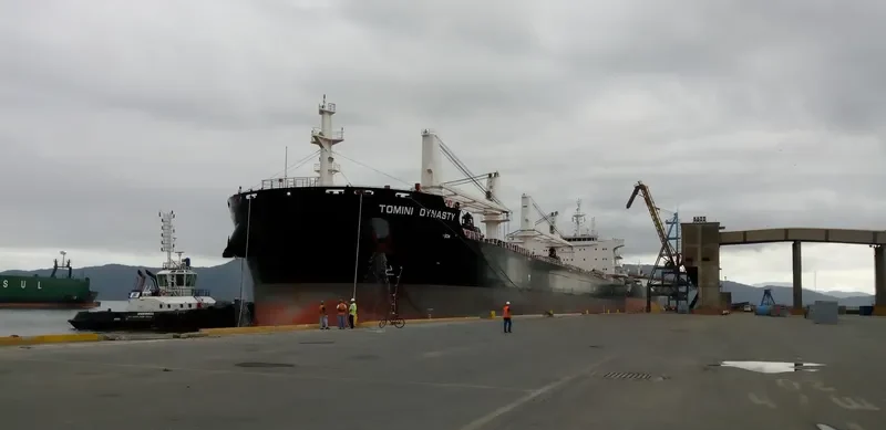 TOMINI DYNASTY Bulk Carrier IMO 9721360 photo 3