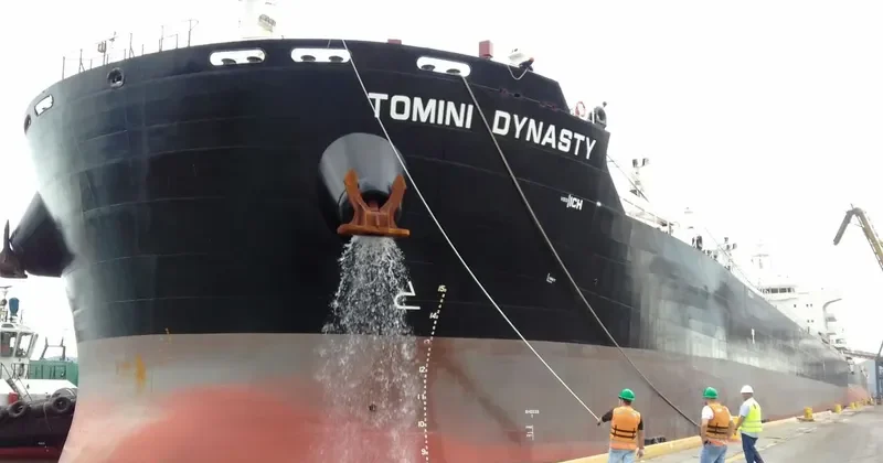 TOMINI DYNASTY Bulk Carrier IMO 9721360 photo 4