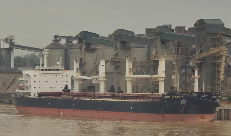 TOMINI DYNASTY Bulk Carrier IMO 9721360 photo 5