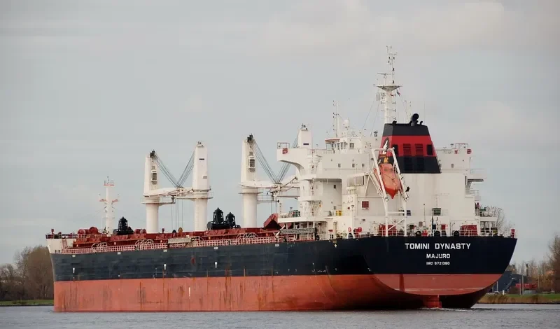 TOMINI DYNASTY Bulk Carrier IMO 9721360 photo 6