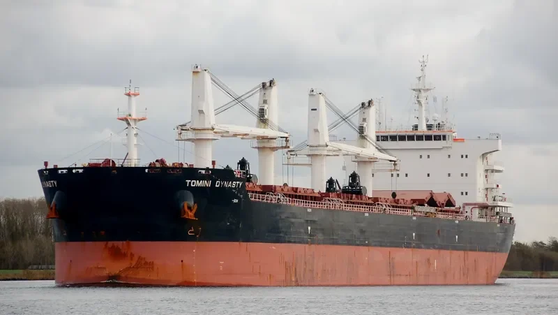 TOMINI DYNASTY Bulk Carrier IMO 9721360 photo 7