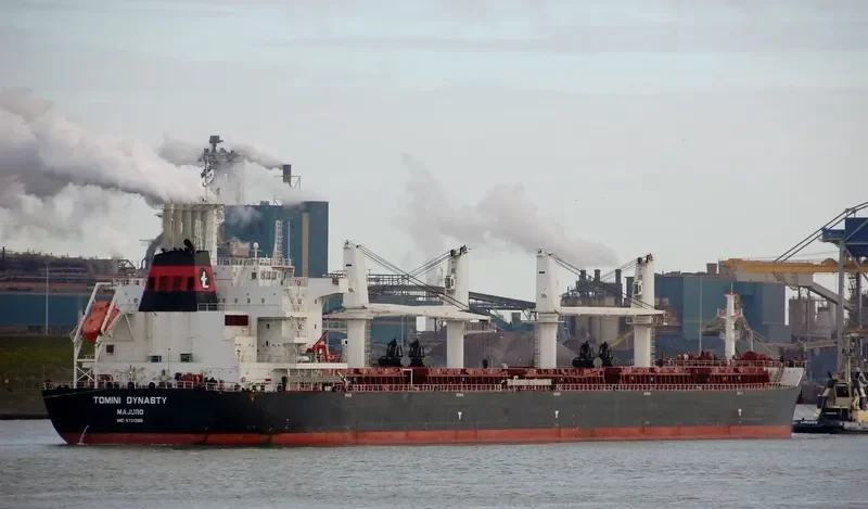 TOMINI DYNASTY Bulk Carrier IMO 9721360 photo 8