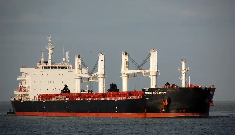 TOMINI DYNASTY Bulk Carrier IMO 9721360 photo 9
