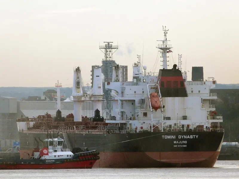 TOMINI DYNASTY Bulk Carrier IMO 9721360 photo 10
