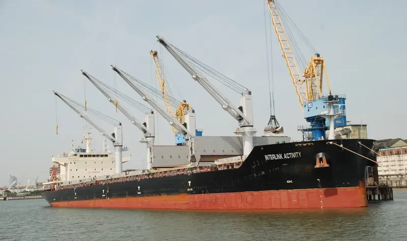 INTERLINK ACTIVITY Bulk Carrier IMO 9721413