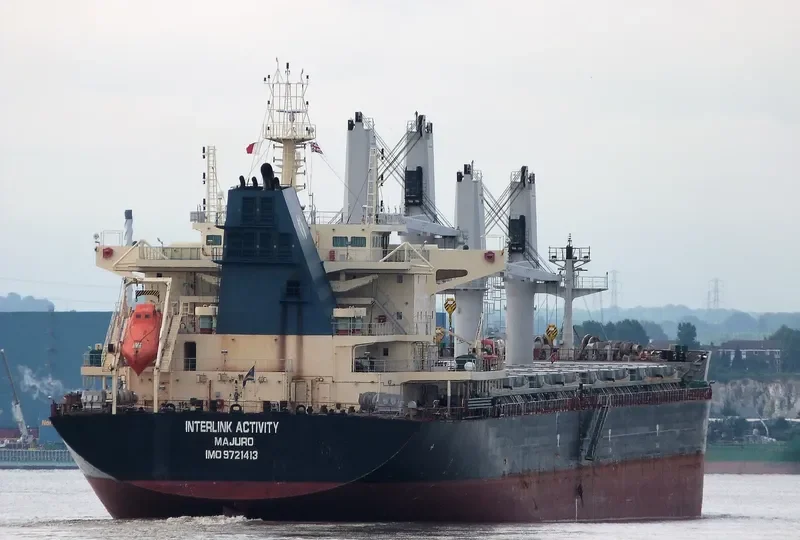 INTERLINK ACTIVITY Bulk Carrier IMO 9721413 photo 2