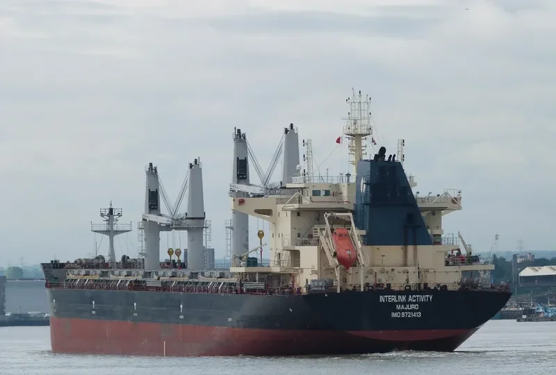 INTERLINK ACTIVITY Bulk Carrier IMO 9721413 photo 3