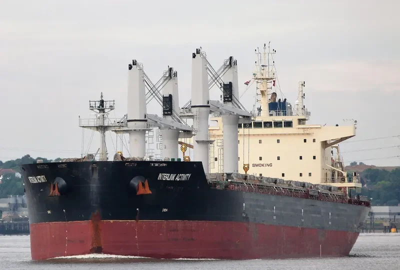 INTERLINK ACTIVITY Bulk Carrier IMO 9721413 photo 4