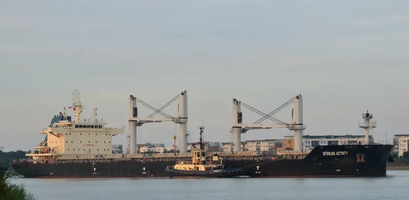INTERLINK ACTIVITY Bulk Carrier IMO 9721413 photo 5