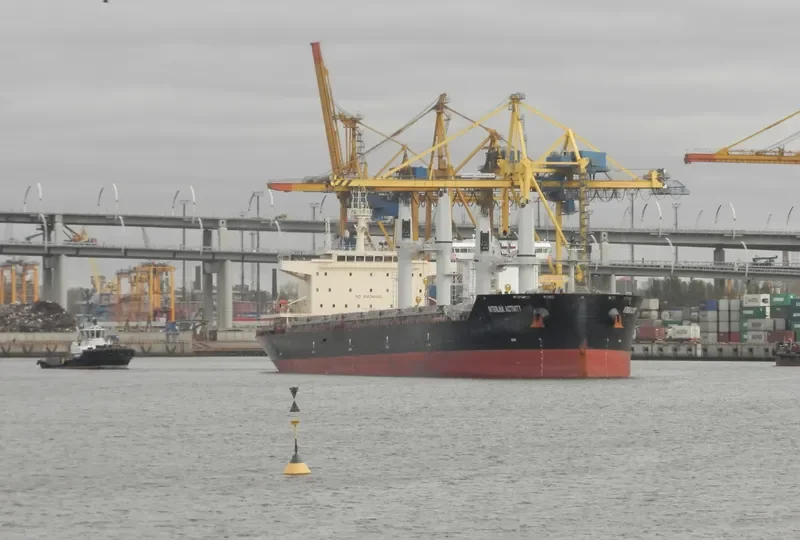 INTERLINK ACTIVITY Bulk Carrier IMO 9721413 photo 6