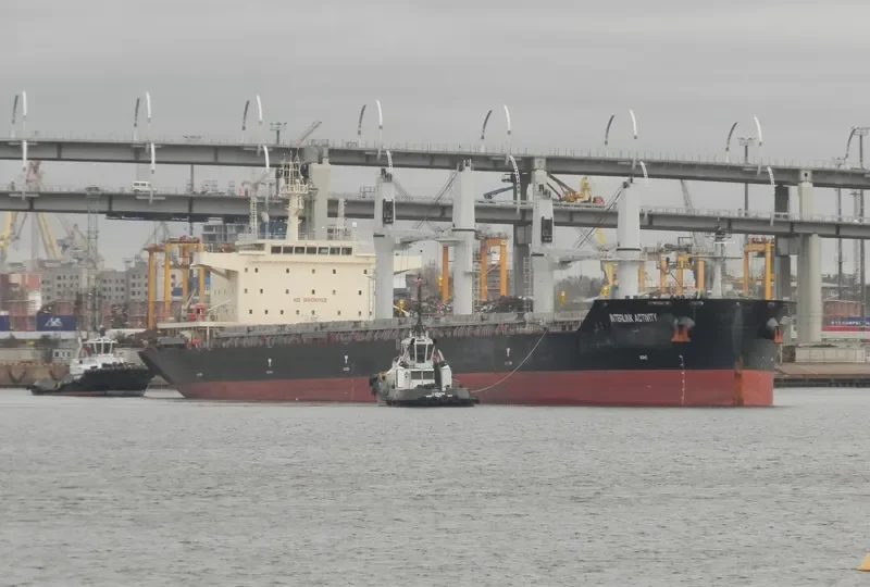 INTERLINK ACTIVITY Bulk Carrier IMO 9721413 photo 7