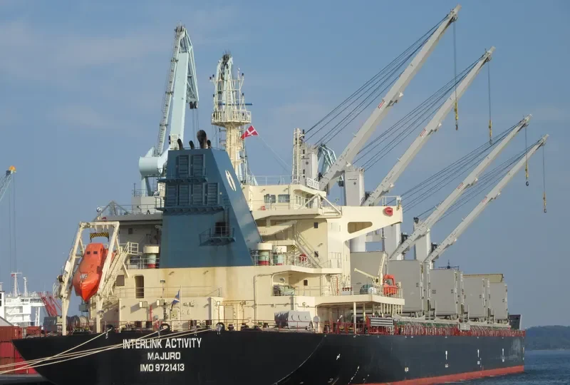 INTERLINK ACTIVITY Bulk Carrier IMO 9721413 photo 8